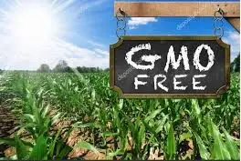 A sign in the middle of a field with the word gmo free written on it.