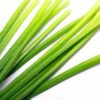 A close up of some green onions on a white surface