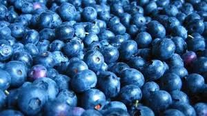 A pile of blueberries sitting on top of each other.