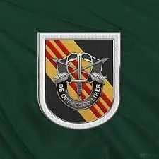 A picture of the us army special forces insignia.