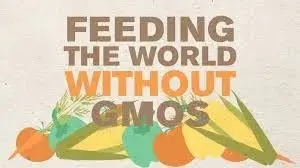 A poster with the words " feeding the world without gmos ".