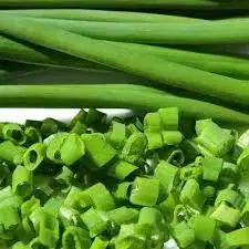 A close up of chopped green onions and cut into small pieces.