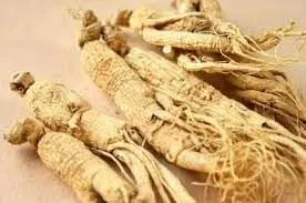 A close up of several different types of ginseng.