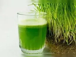 A glass of green juice next to grass.