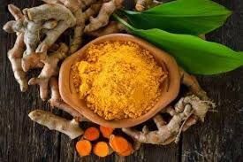 A bowl of turmeric next to some carrots and ginger.